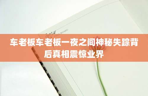 车老板车老板一夜之间神秘失踪背后真相震惊业界