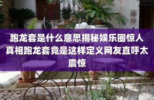 跑龙套是什么意思揭秘娱乐圈惊人真相跑龙套竟是这样定义网友直呼太震惊