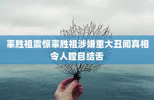 辜胜祖震惊辜胜祖涉嫌重大丑闻真相令人瞠目结舌