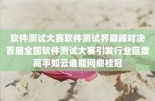 软件测试大赛软件测试界巅峰对决首届全国软件测试大赛引发行业巨震高手如云谁能问鼎桂冠