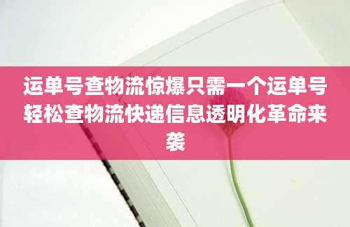 运单号查物流惊爆只需一个运单号轻松查物流快递信息透明化革命来袭