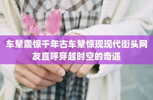 车辇震惊千年古车辇惊现现代街头网友直呼穿越时空的奇遇