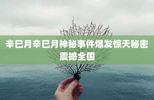 辛巳月辛巳月神秘事件爆发惊天秘密震撼全国