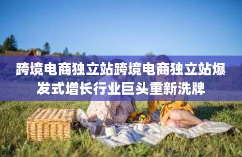 跨境电商独立站跨境电商独立站爆发式增长行业巨头重新洗牌