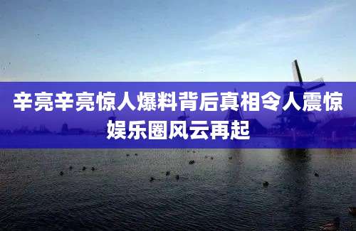 辛亮辛亮惊人爆料背后真相令人震惊娱乐圈风云再起
