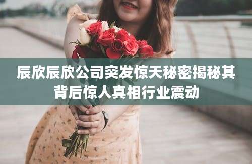 辰欣辰欣公司突发惊天秘密揭秘其背后惊人真相行业震动