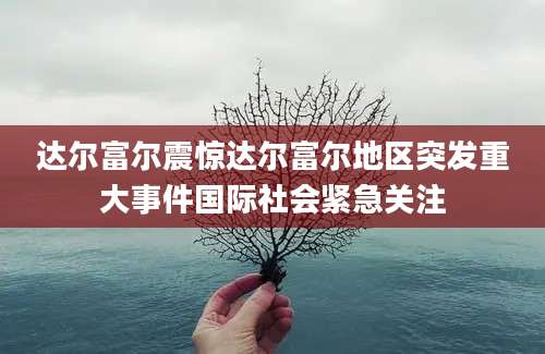 达尔富尔震惊达尔富尔地区突发重大事件国际社会紧急关注