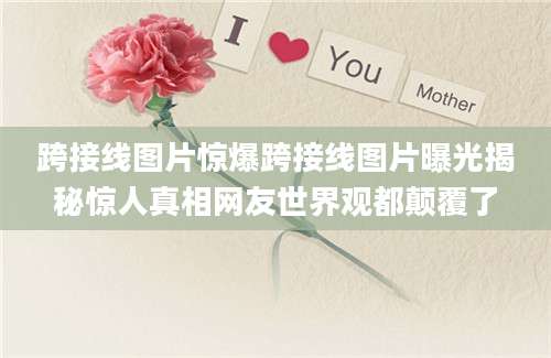 跨接线图片惊爆跨接线图片曝光揭秘惊人真相网友世界观都颠覆了