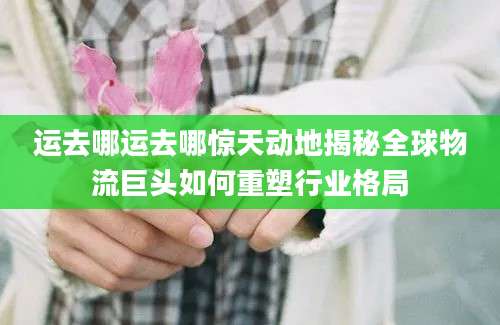 运去哪运去哪惊天动地揭秘全球物流巨头如何重塑行业格局