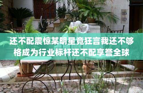 还不配震惊某明星竟狂言我还不够格成为行业标杆还不配享誉全球