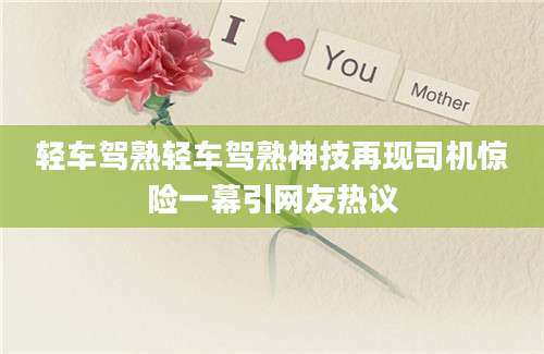 轻车驾熟轻车驾熟神技再现司机惊险一幕引网友热议