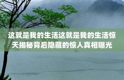 这就是我的生活这就是我的生活惊天揭秘背后隐藏的惊人真相曝光