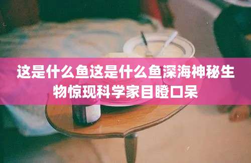 这是什么鱼这是什么鱼深海神秘生物惊现科学家目瞪口呆