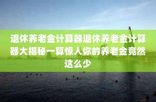 退休养老金计算器退休养老金计算器大揭秘一算惊人你的养老金竟然这么少