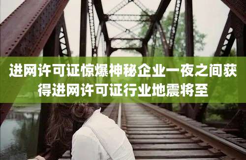 进网许可证惊爆神秘企业一夜之间获得进网许可证行业地震将至