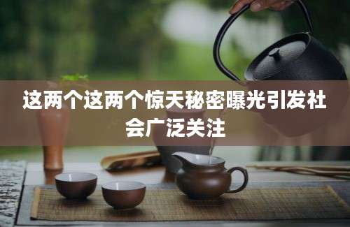 这两个这两个惊天秘密曝光引发社会广泛关注