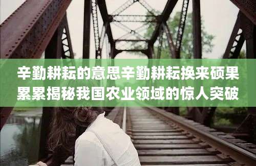 辛勤耕耘的意思辛勤耕耘换来硕果累累揭秘我国农业领域的惊人突破