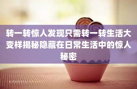 转一转惊人发现只需转一转生活大变样揭秘隐藏在日常生活中的惊人秘密