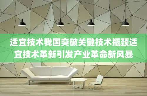 适宜技术我国突破关键技术瓶颈适宜技术革新引发产业革命新风暴