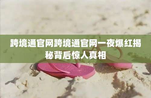 跨境通官网跨境通官网一夜爆红揭秘背后惊人真相