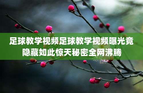 足球教学视频足球教学视频曝光竟隐藏如此惊天秘密全网沸腾