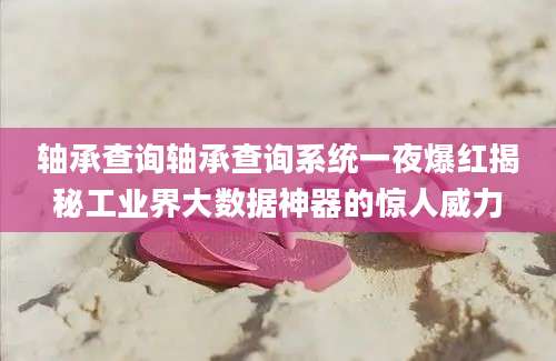 轴承查询轴承查询系统一夜爆红揭秘工业界大数据神器的惊人威力