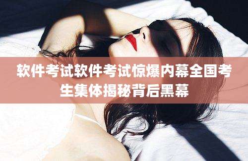 软件考试软件考试惊爆内幕全国考生集体揭秘背后黑幕