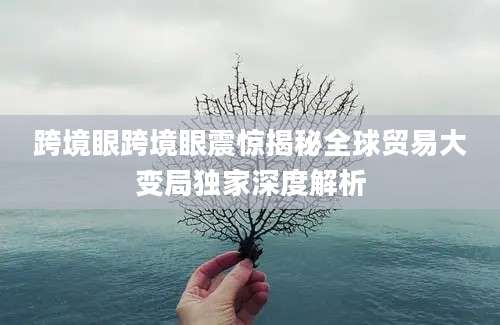 跨境眼跨境眼震惊揭秘全球贸易大变局独家深度解析