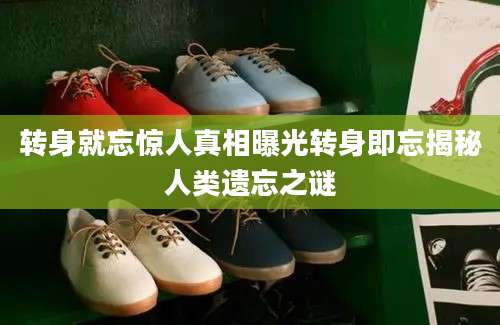 转身就忘惊人真相曝光转身即忘揭秘人类遗忘之谜