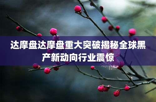 达摩盘达摩盘重大突破揭秘全球黑产新动向行业震惊