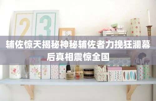 辅佐惊天揭秘神秘辅佐者力挽狂澜幕后真相震惊全国
