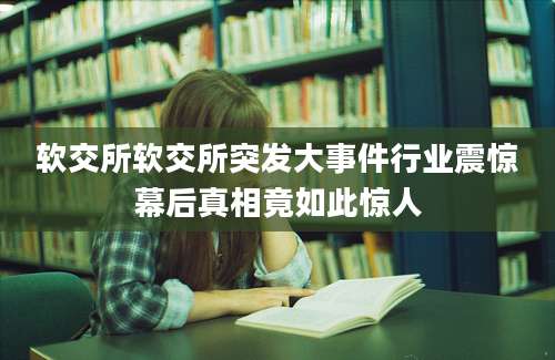 软交所软交所突发大事件行业震惊幕后真相竟如此惊人
