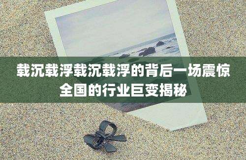 载沉载浮载沉载浮的背后一场震惊全国的行业巨变揭秘