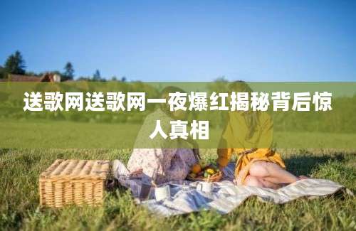 送歌网送歌网一夜爆红揭秘背后惊人真相
