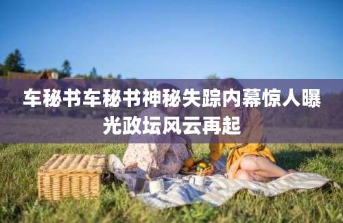车秘书车秘书神秘失踪内幕惊人曝光政坛风云再起