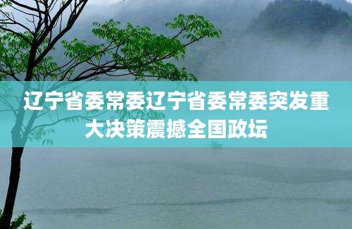 辽宁省委常委辽宁省委常委突发重大决策震撼全国政坛